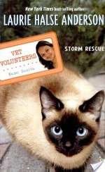 Storm Rescue