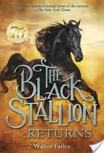 The Black Stallion Returns