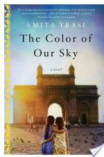 The Color Of Our Sky: A Novel