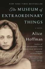 The Museum of Extraordinary Things