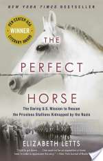 THE PERFECT HORSE