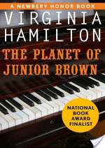 The Planet of Junior Brown