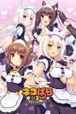 NEKOPARA Vol.2 Shimai Neko no Sucre