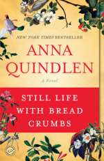 Still Life with Bread Crumbs