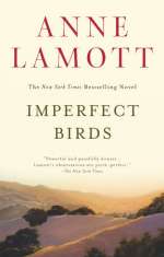 Imperfect Birds